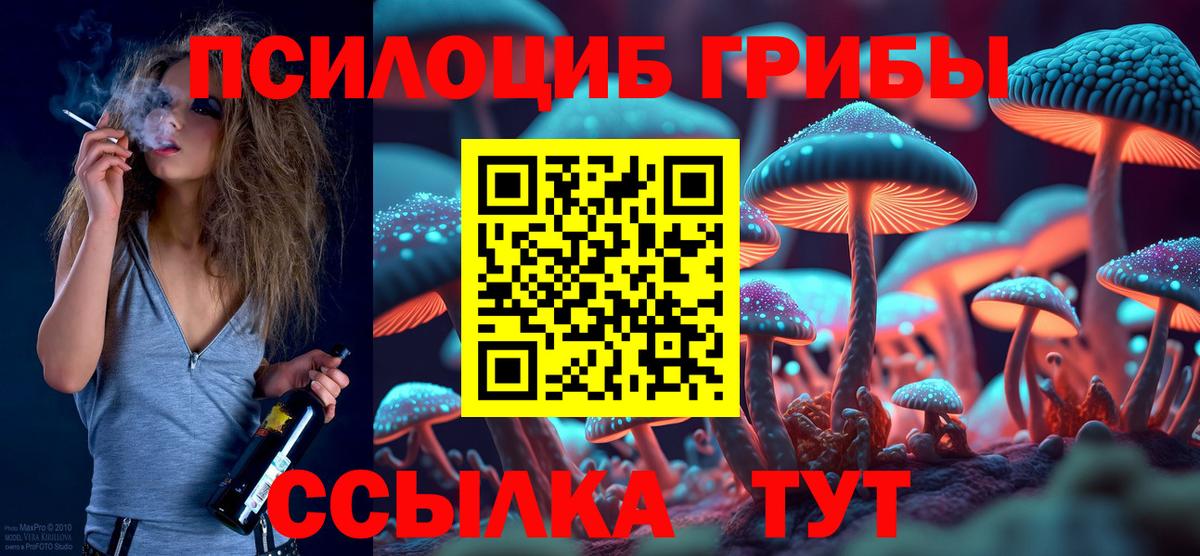 Галлюциногенные грибы Psilocybe  Псилоцибиновые грибы Psilocybe  Вход с VPN  Югорск 